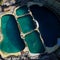 Video of orcas in algae-infested pool sparks concern for their fate