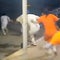 Worker accused of helping inmates in New Orleans jailbreak, he says inmate threatened to shank him