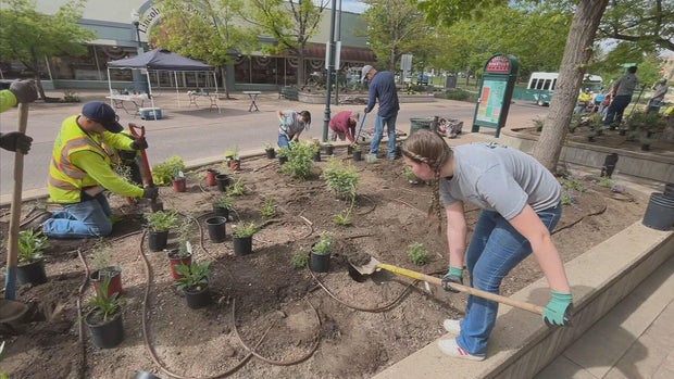 downtown-greeley-landscape-beautificaion-northern-colorado-students.jpg 