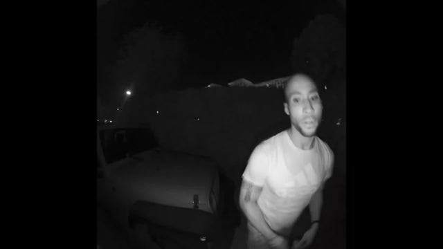 1800-peter-gables-fake-driver-pkg-5-2025.jpg 