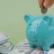 Saving coins in a piggy bank, income from working to earn money, generating income and investing in finance. 