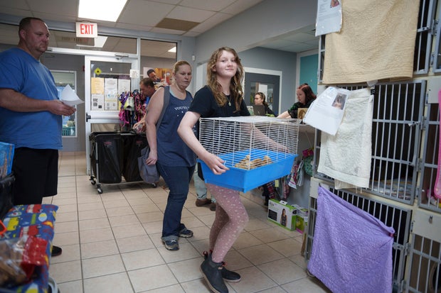 A teen girl holds a crate with chicks inside, she's adopting them from a shelter in Delaware 