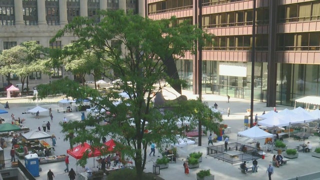 Daley Plaza Farmers Market 
