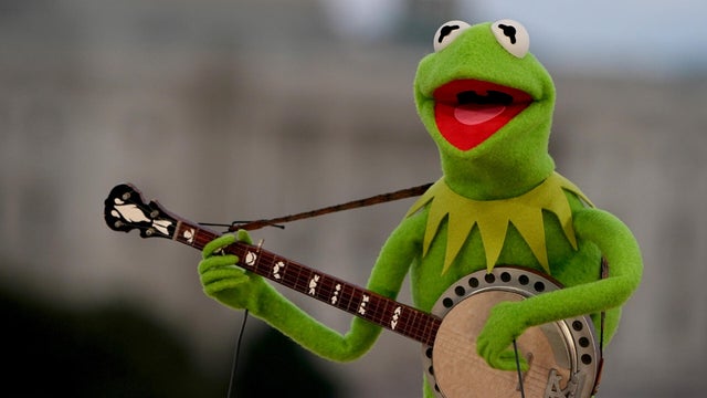 kermit.jpg 