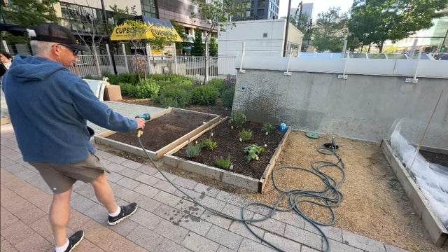 garden5.jpg 