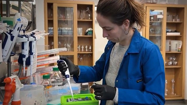 medical-researcher-1280.jpg 