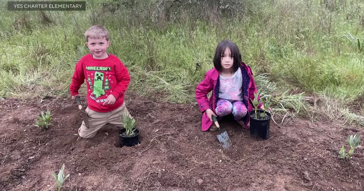 Yuba County first graders plant milkweed to help monarch butterflies return
