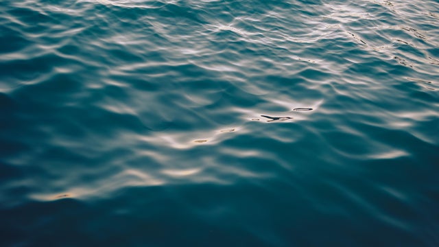 Water texture 