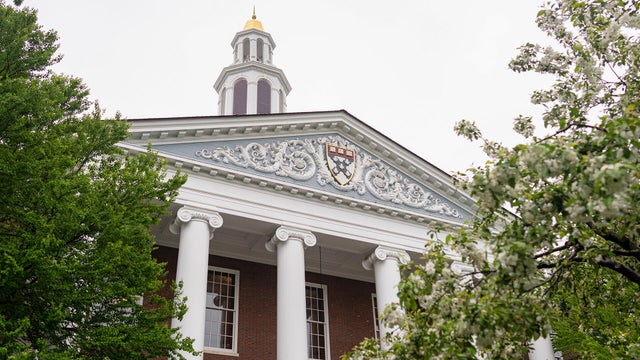Harvard University 