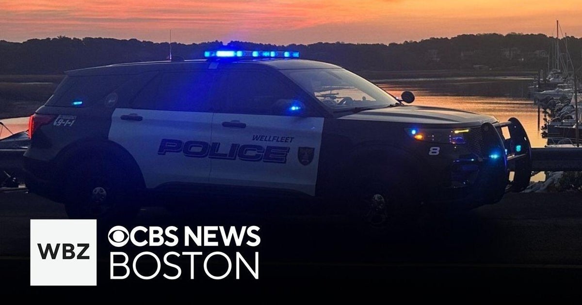 Cape Cod Hit-and-Run Kills 25-Year-Old Florida Man Police Seek Driver