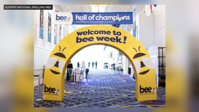 2025 Scripps National Spelling Bee 