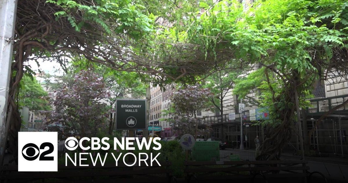Urban refuge for birds and insects created on NYC's Upper West Side ...