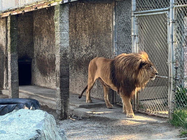 Oregon Zoo Owner Arrest 