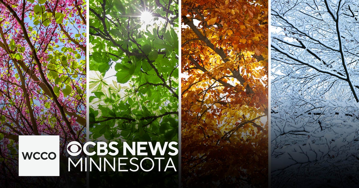 Human health can be influenced by the seasons, study finds