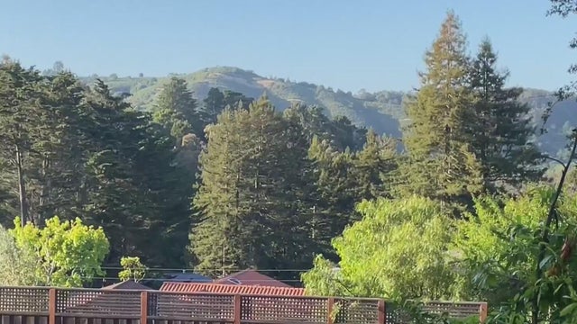 Berkeley 