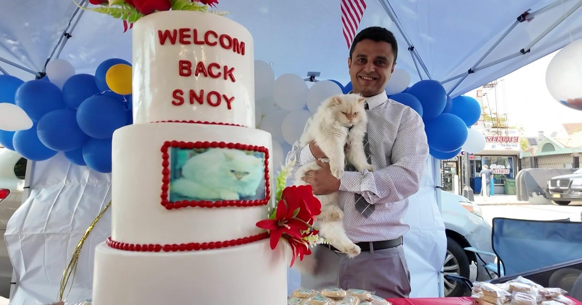 Brooklyn community celebrates return of missing bodega cat