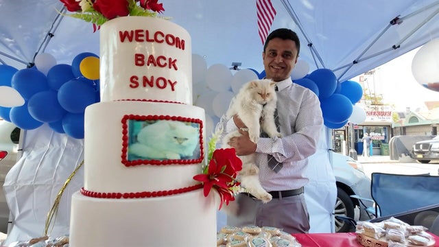 A three-tier cake with a photo of a Persian cat on it and the words "Welcom back Snoy." A man stands next to the cake holding the Persian cat seen in the photo. 