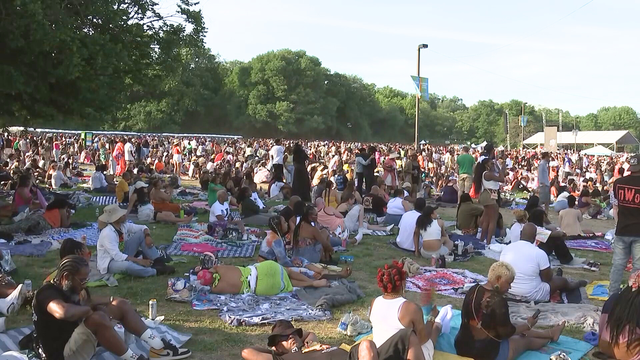 Roots Picnic 2025 