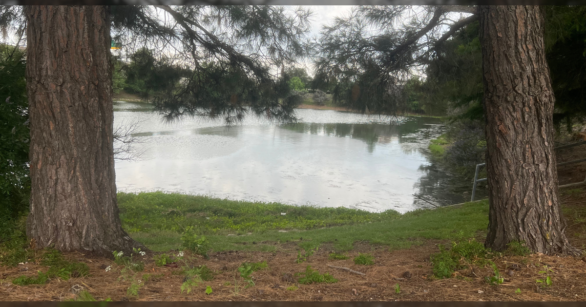 7-Year-Old Drowns in Frisco Retention Pond