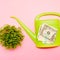 How much does a $300,000 annuity pay per month?