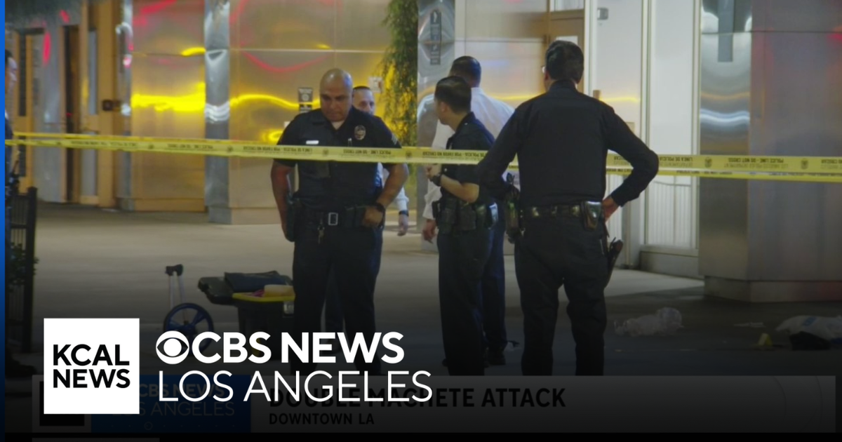 Machete-wielding man kills one, wounds another in downtown Los Angeles ...
