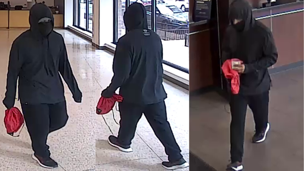 Robber targets 2 North Side banks 