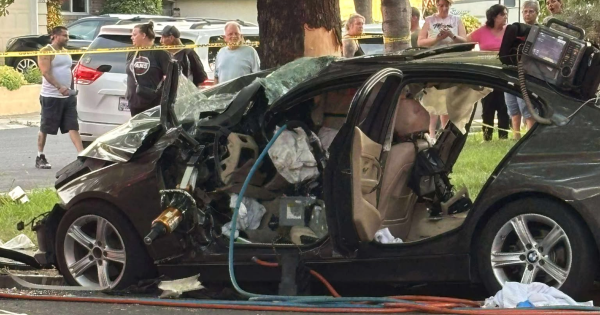 Three Separate Vehicle-Tree Crashes Hospitalize Multiple