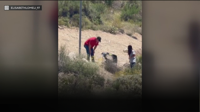 san-bernardino-kitten-dumping.png 