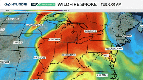 wildfires-giffff-1.gif 