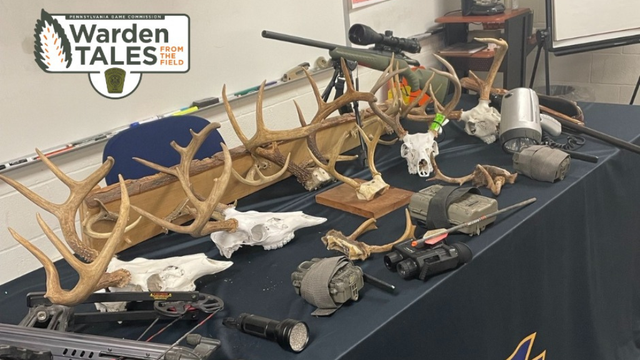kdka-cambria-county-poaching.png 