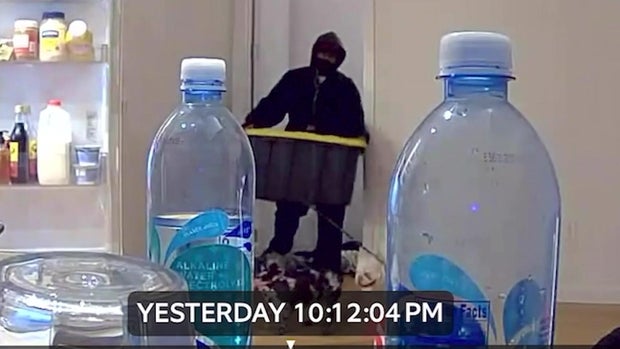 Home surveillance video shows a masked man carrying a large container and holding the leash of two French Bulldogs. 