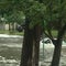 Over 100 water rescues made in Wichita, Kansas, as severe storms slam the Midwest