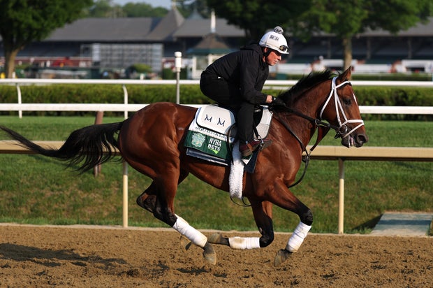 Journalism trains on the track for the 157th running of the Belmont Stakes at Saratoga Race Course on June 5, 2025, in Saratoga Springs, New York.