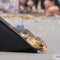 Sea turtle named Dilly Dally returns to ocean after flipper amputation