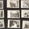 pkg-lc-news-pride-story-frame-1572.jpg 