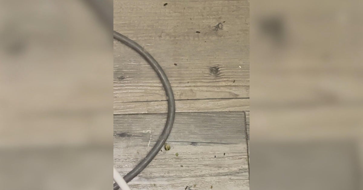 Family captures videos of mice, droppings at Center City nursing facility 