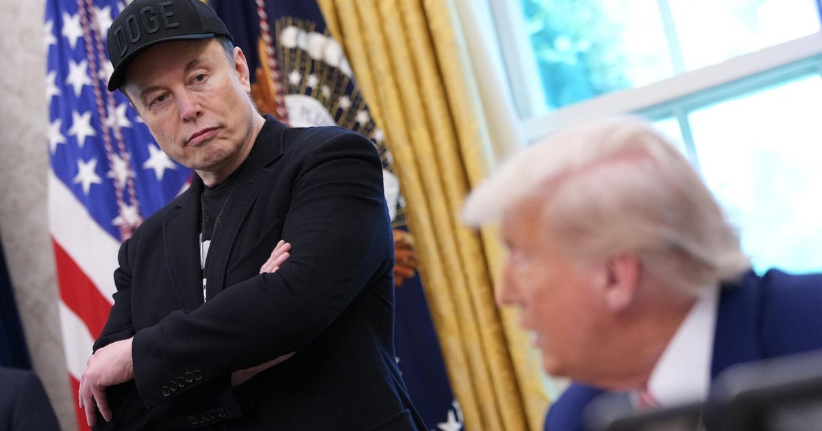 Amid Trump-Musk clash, Bay Area activists double down on Democratic fight 