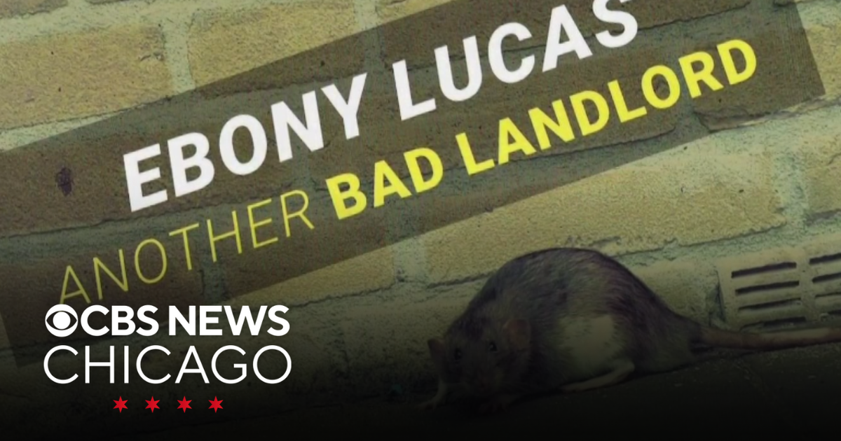 Former aldermanic candidate wins defamation lawsuit over attack ads