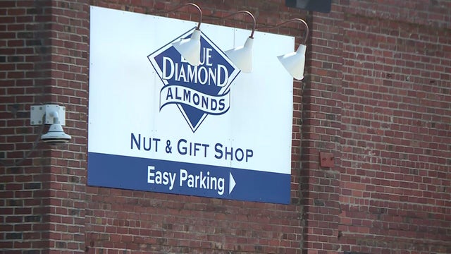 Blue Diamond Almond Products Ahead of Earnings 