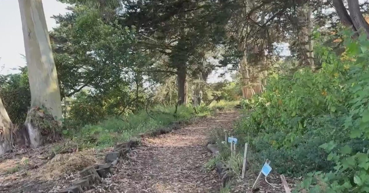 Former SF Parks Alliance CEOs, board treasurer subpoenaed after missing committee hearing 
