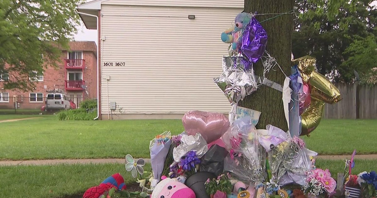 Man charged in deadly stabbing of 2 sisters in Streamwood to appear in court 