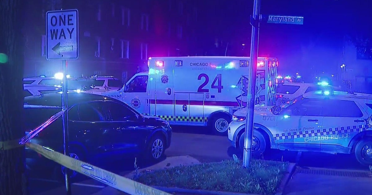 Chicago police officer killed in Chatham shooting ID'd 