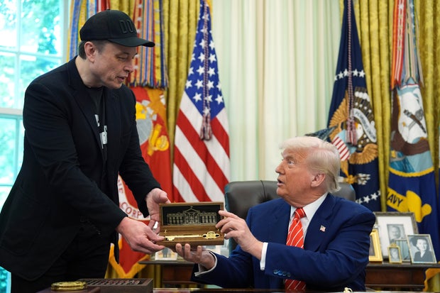 trump card 