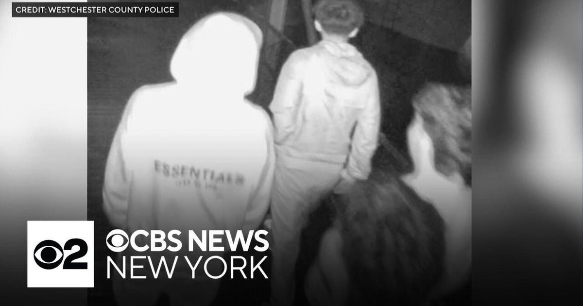 3 teens arrested in Tarrytown Lighthouse vandalism CBS New York