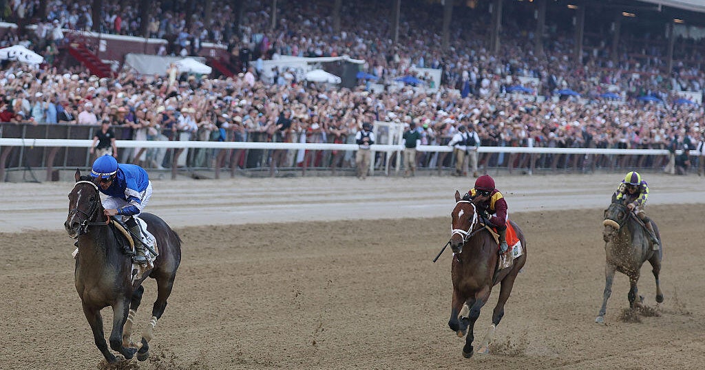 Meet the horses that ran in the Belmont Stakes 