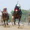 Meet the horses that ran in the Belmont Stakes