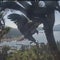Big Bear eagle Gizmo takes first flight from nest in California, joining sister Sunny after weeks of anticipation