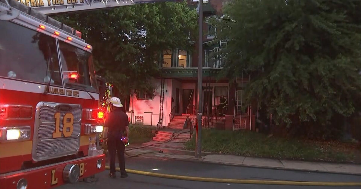 Multiple animals die in North Philadelphia fire, officials say 