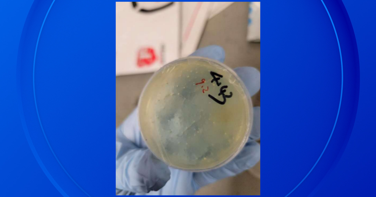 Third Chinese national accused of smuggling biological materials into Michigan 