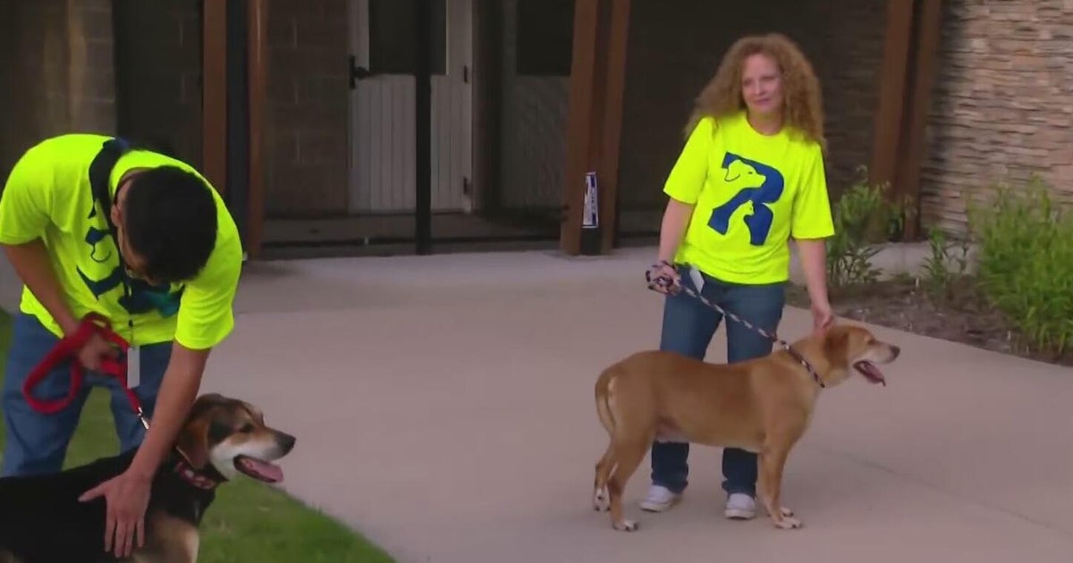 "Lemonade and Leashes" raises money for animals at Garland Animal Shelter 